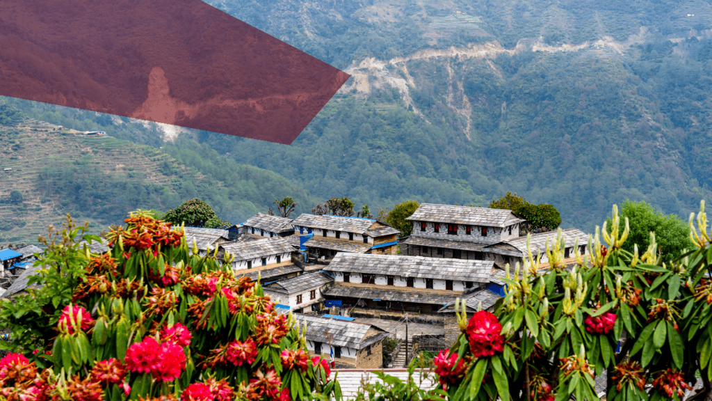 Bhutanisches Dorf mit bunten Rhododendronblüten im Vordergrund